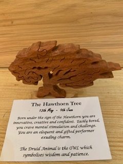 Hawthorn Birthday Tree 13th May - 9th June Small
