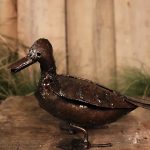 brown duckling ch46