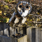 Recycled metal barn owl